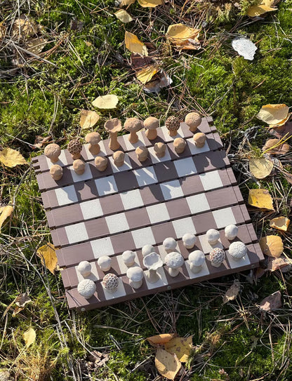 🍄 Magnetic Forest Mushrooms Chess ♟️