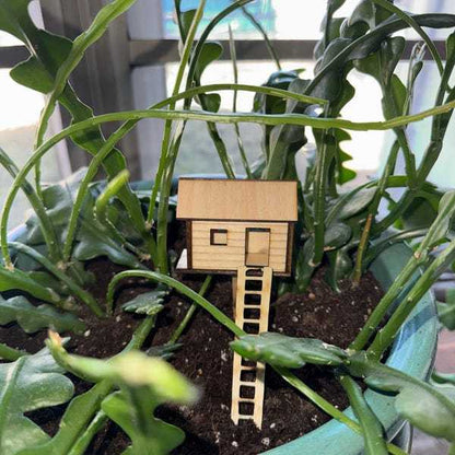 🔥🔥2025 Mother's Day Gift 50% Off--Plant Mini Treehouse