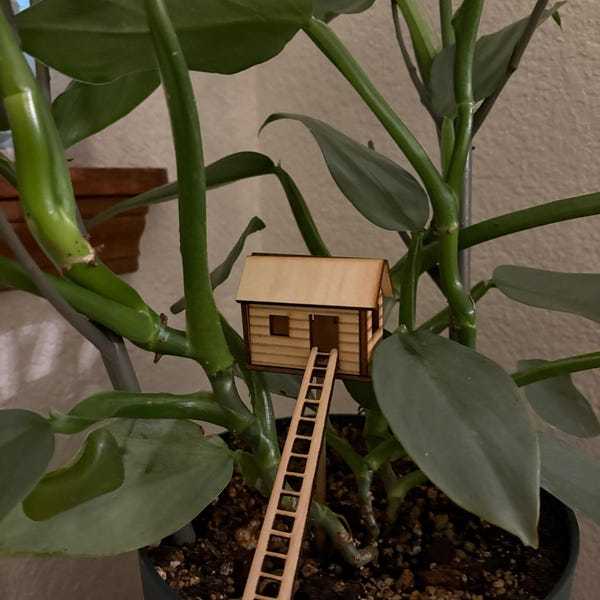 🔥🔥2025 Mother's Day Gift 50% Off--Plant Mini Treehouse