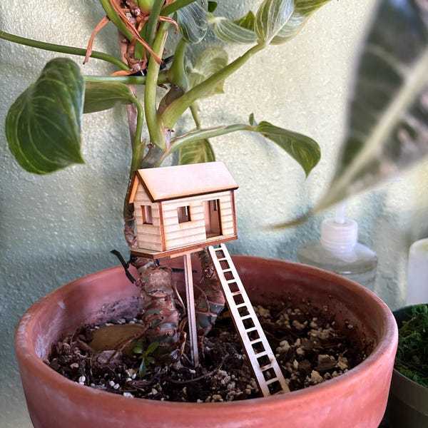 🔥🔥2025 Mother's Day Gift 50% Off--Plant Mini Treehouse