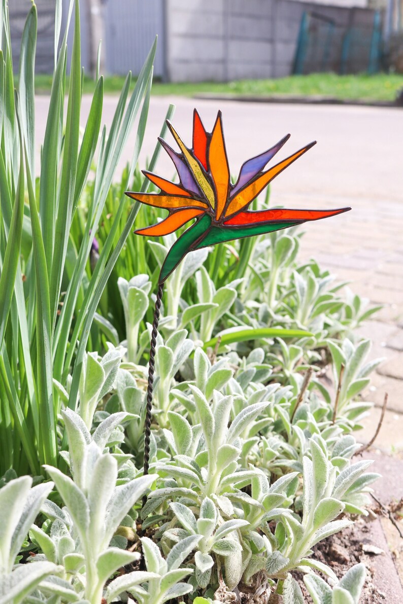 Plant stake Strelitzia Garden decor
