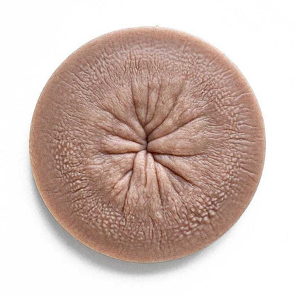 🤣Funny Body Parts Coasters🎁