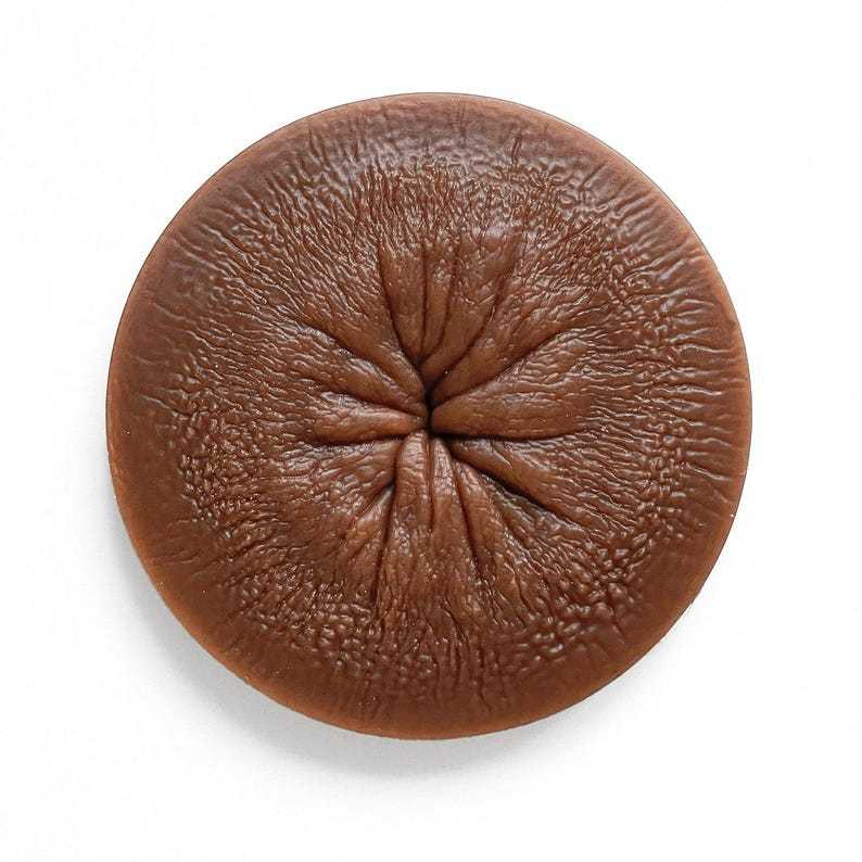 🤣Funny Body Parts Coasters🎁