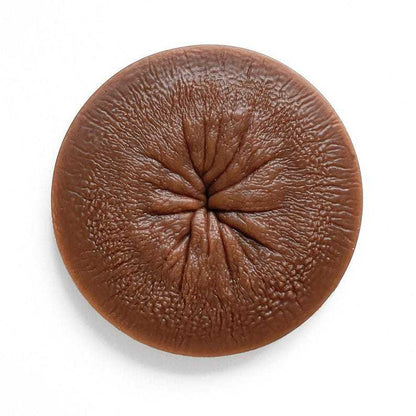 🤣Funny Body Parts Coasters🎁