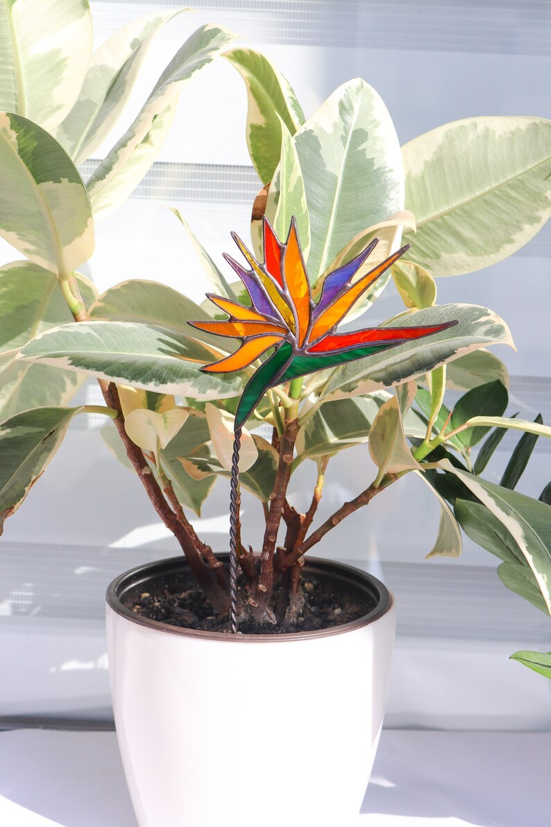 Plant stake Strelitzia Garden decor