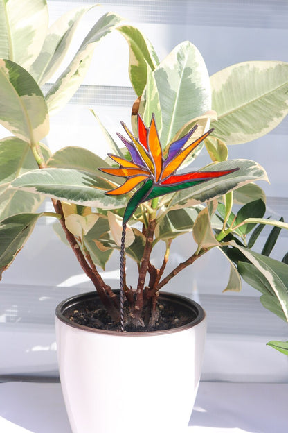 Plant stake Strelitzia Garden decor