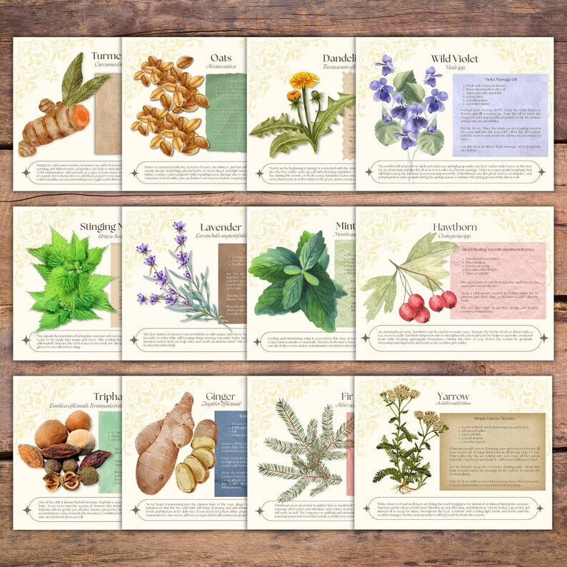 Magical Herbs Calendar 2025 🌿✨