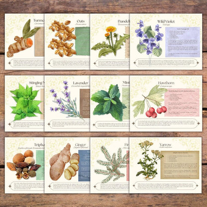 Magical Herbs Calendar 2025 🌿✨