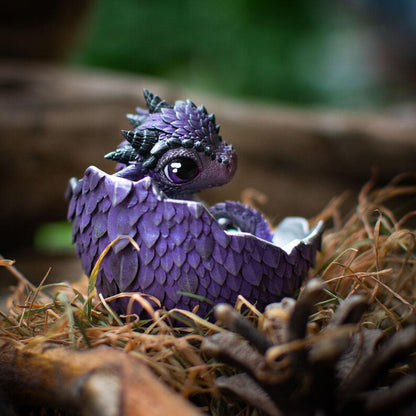 🐲🥚Dragon Hatchling