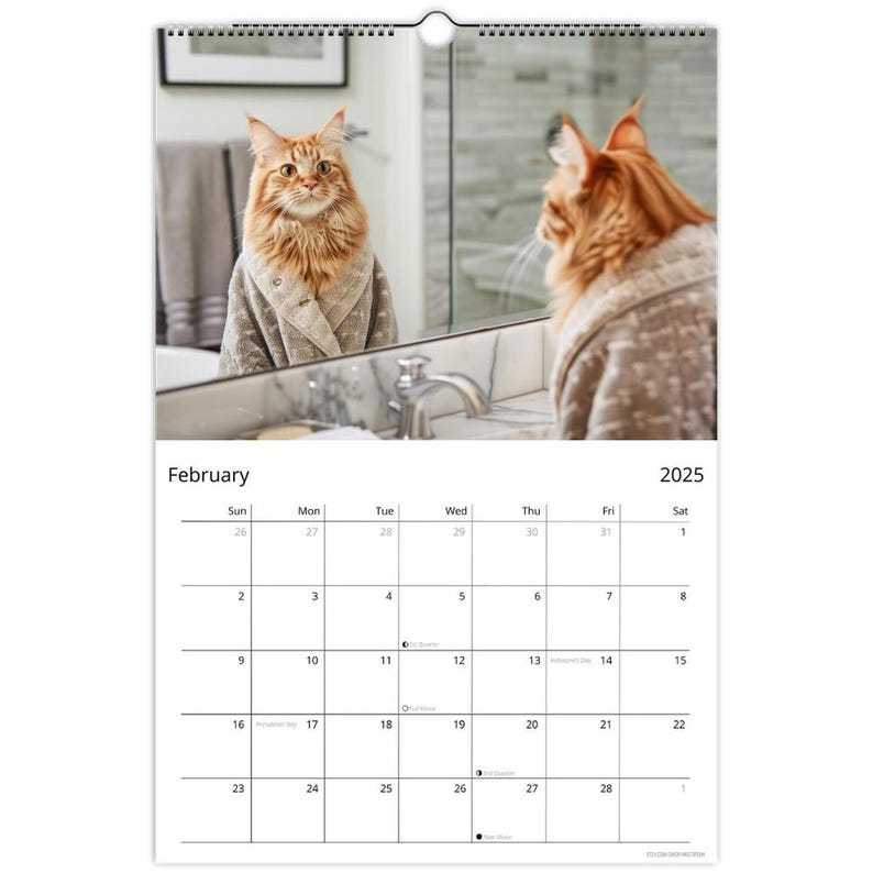 😺 Cat Lover Gift🎁——2025 Cute Cat Calendar