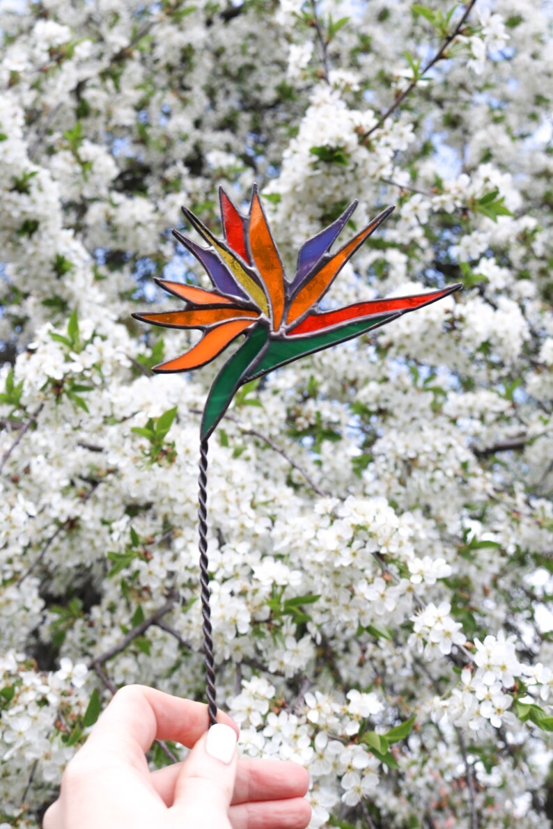 Plant stake Strelitzia Garden decor