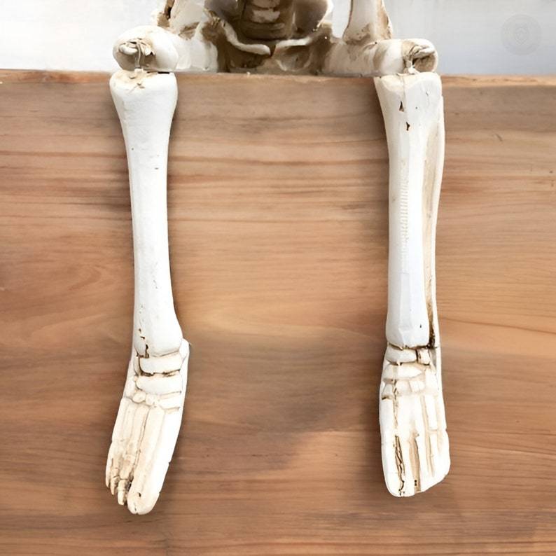 💀Sitting Skeleton Statue Skull Ornament