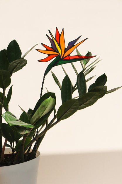 Plant stake Strelitzia Garden decor