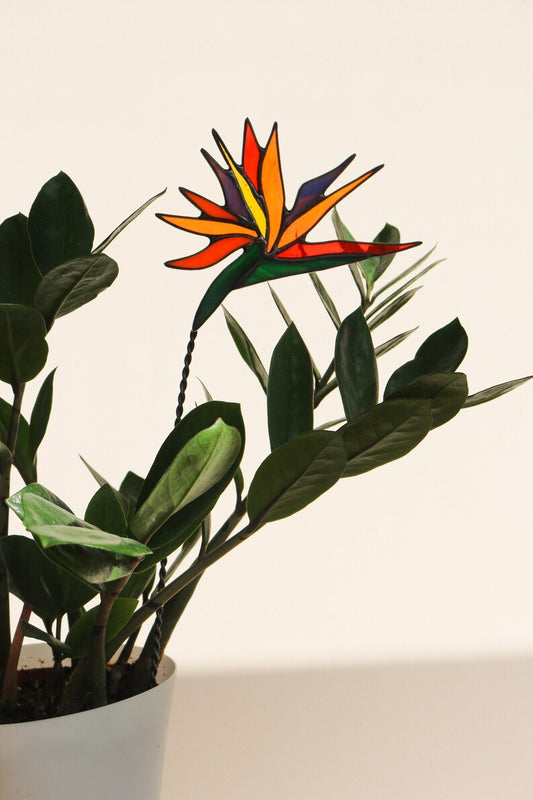 Plant stake Strelitzia Garden decor