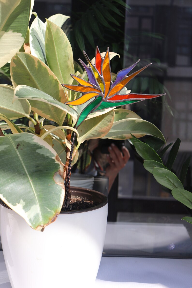 Plant stake Strelitzia Garden decor