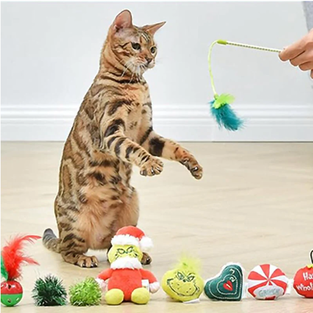 The Grinch Stole Christmas Cat Advent Box