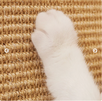 Natural Sisal Cat Scratcher Mat