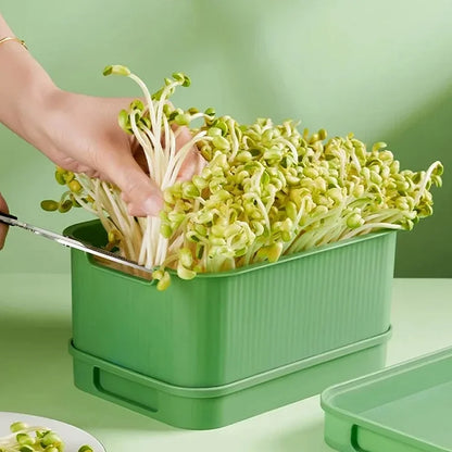 Stackable Bean Sprout Growing Box