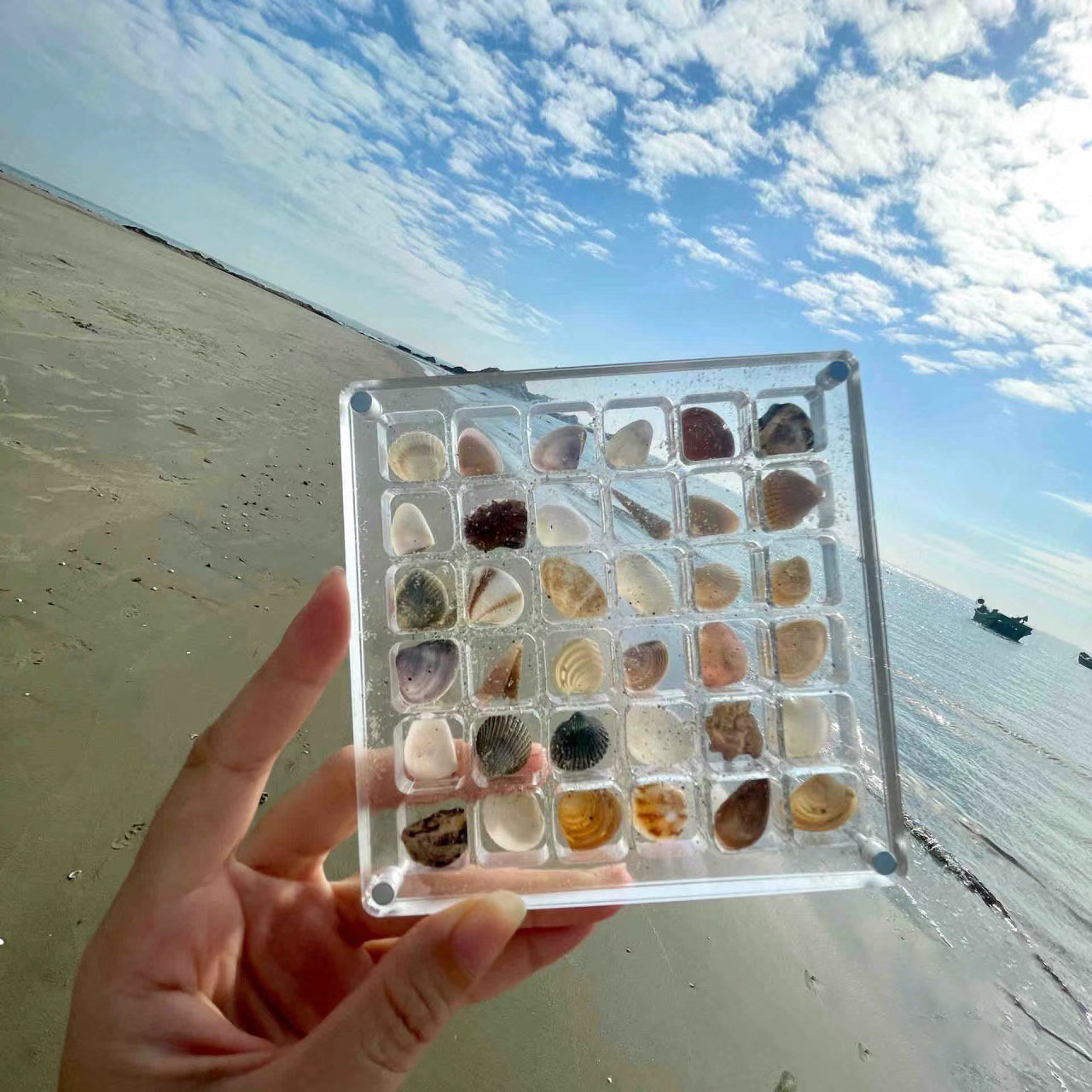 🌊Acrylic Magnetic Seashell Nail Diamond Display Box