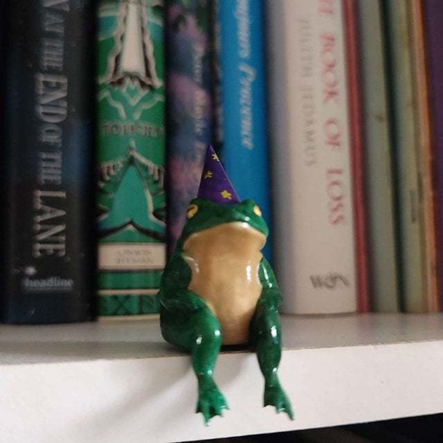 🐸Little Wizard Frog Ornament🧙