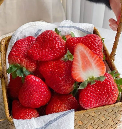 🔥Hot Sale - 49% Discount🔥All Season Strawberry Seeds🍓