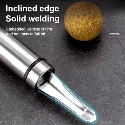 🔥2025 New Arrival🔥Longan Corer Shrimp Line Knife Cherry Core Remover Stainless Steel Fish Maw Cutter Tool