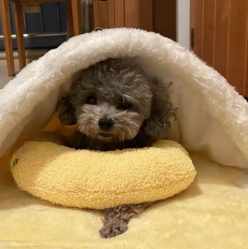 🔥The Calming Pillow