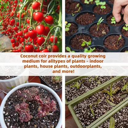 🔥Seasonal promotion- 49% OFF🔥-Premium Organic Coconut Coir Bricks for Plants（Collected from Pacific island countries）🥥