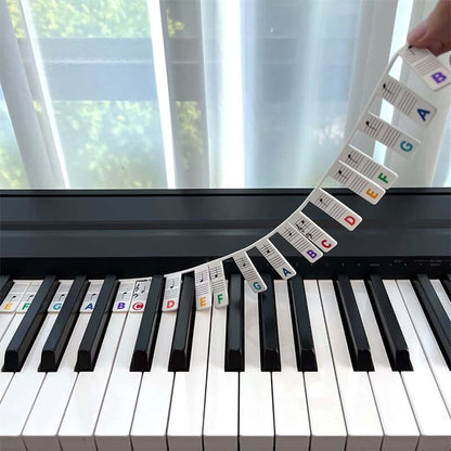 Removable Piano Keyboard Note Labels🎹