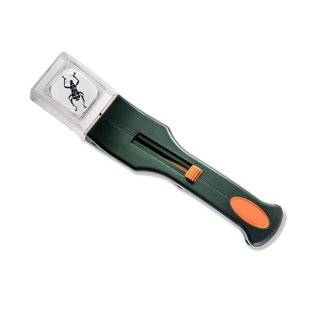 Quick-Release Bug Catching Tool and Magnifier