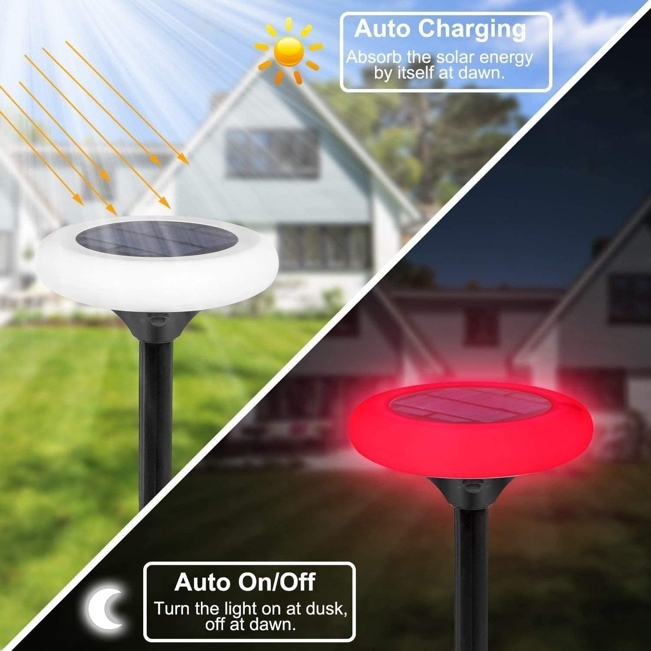 ✨Colorful Solar Colorful Solar Lights Outdoor