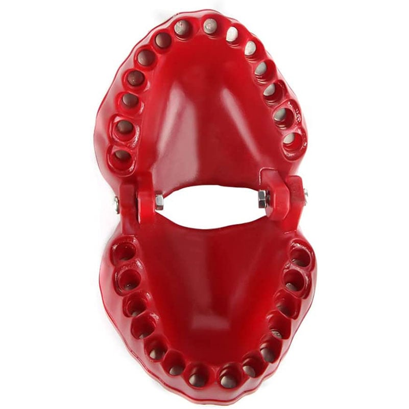 🔥🔥HOT SALE-SAVE 49%🔥🔥 🧰Denture Drill Bit Holder🧰