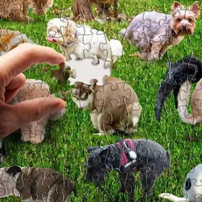 🐶🐾Pooping Dog Jigsaw Puzzle 1000 Piece