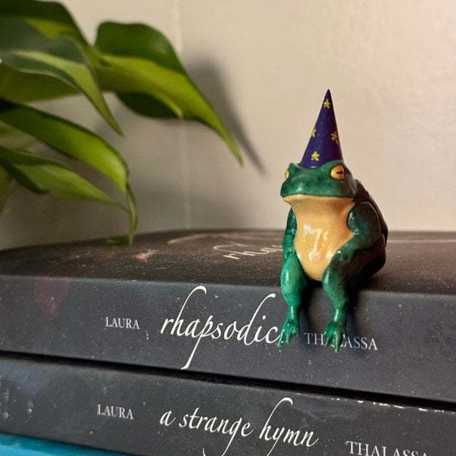 🐸Little Wizard Frog Ornament🧙