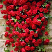 🔥Last Day 49% OFF🌺200pcs Climbing Rose Seeds | Free Fertilizer--Supplement nitrogen, phosphorus and potassium