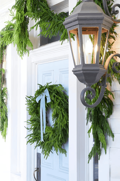 ✨This Week's Special Price $28.95💥- Norfolk Pine Garland🌲