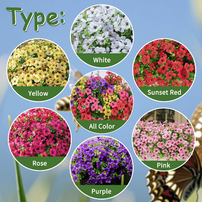 🌸Mother's Day Hot Sale 45% OFF-UV Resistant Colorful Artificial Flower