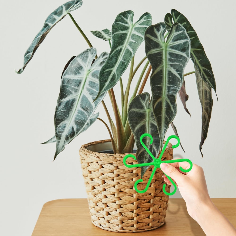 🔥Last Day 49% OFF -🌿Plant Stem Support Set