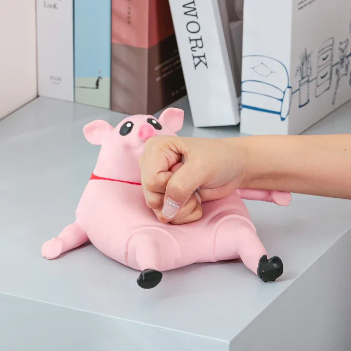 🔥Piggy Squeeze Toy | Acknowledgen