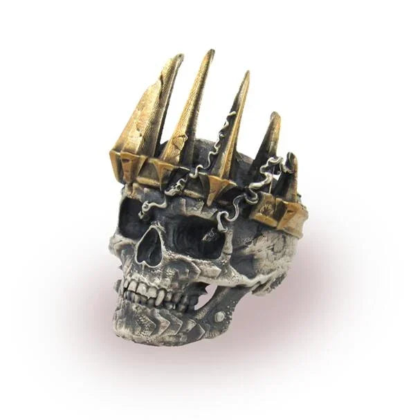 🎁Death Knight Ring