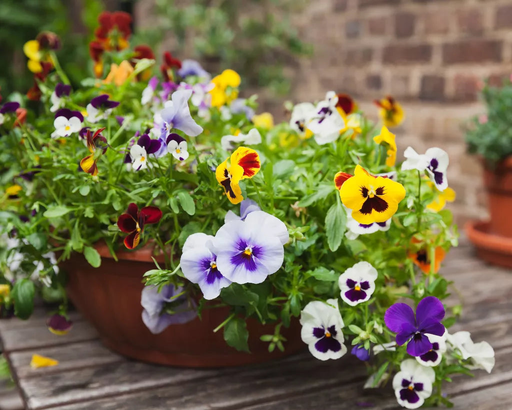 💐Outdoor Artificial Pansy Flowers