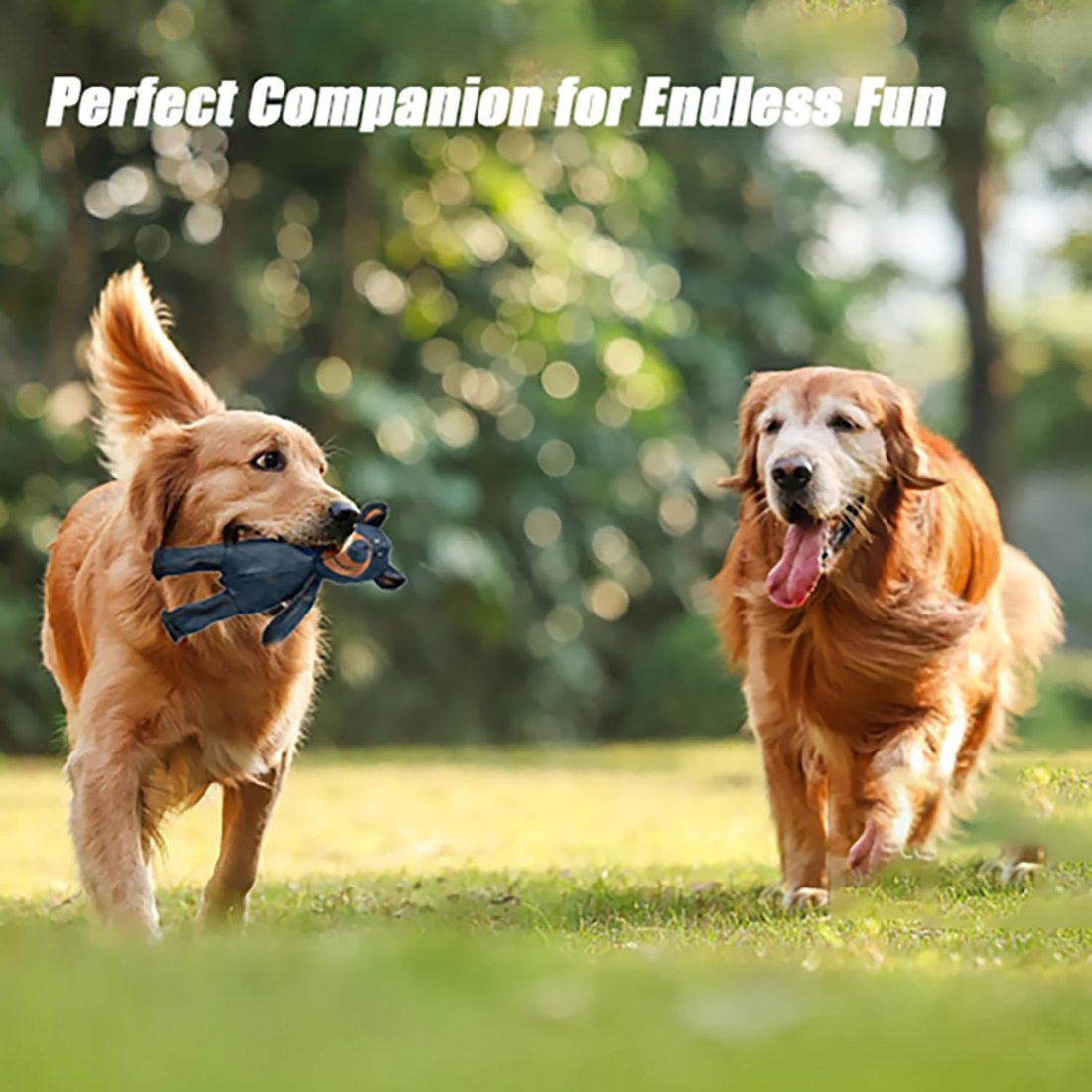 🔥 Last Day Sale Price | Original 2025 New Unbreaka-Bear For Heavy Chewers.