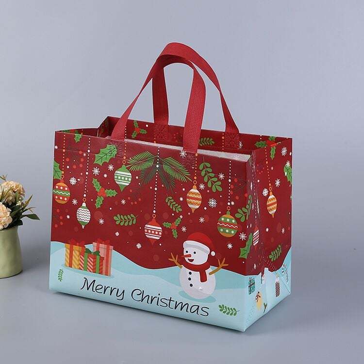 2025 Christmas Gift Bags
