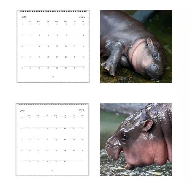 Moo Deng Calendar | 2025 Calendar