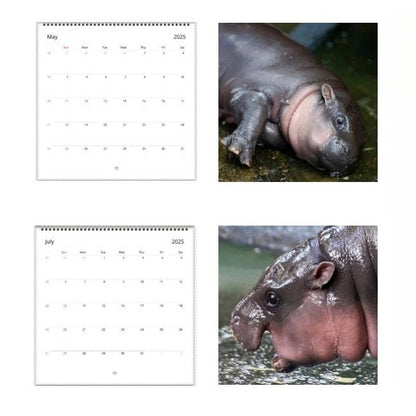 Moo Deng Calendar | 2025 Calendar