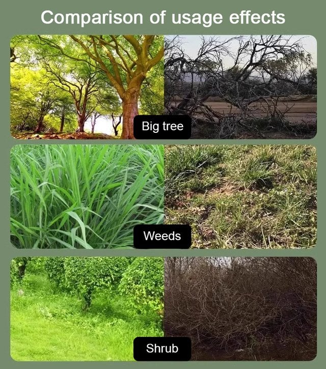 🔥LAST DAY PROMOTION 49% OFF 🔥 - Hexazinone root killing tree remover