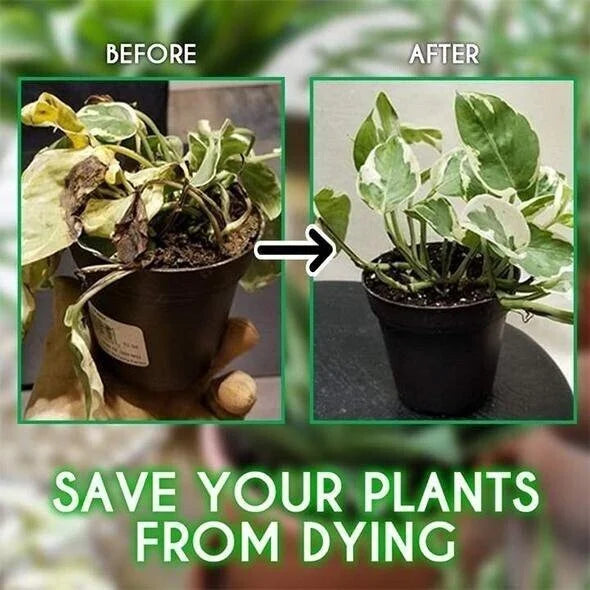 🍀Magic Hydroponic liquid fertilizer🌱