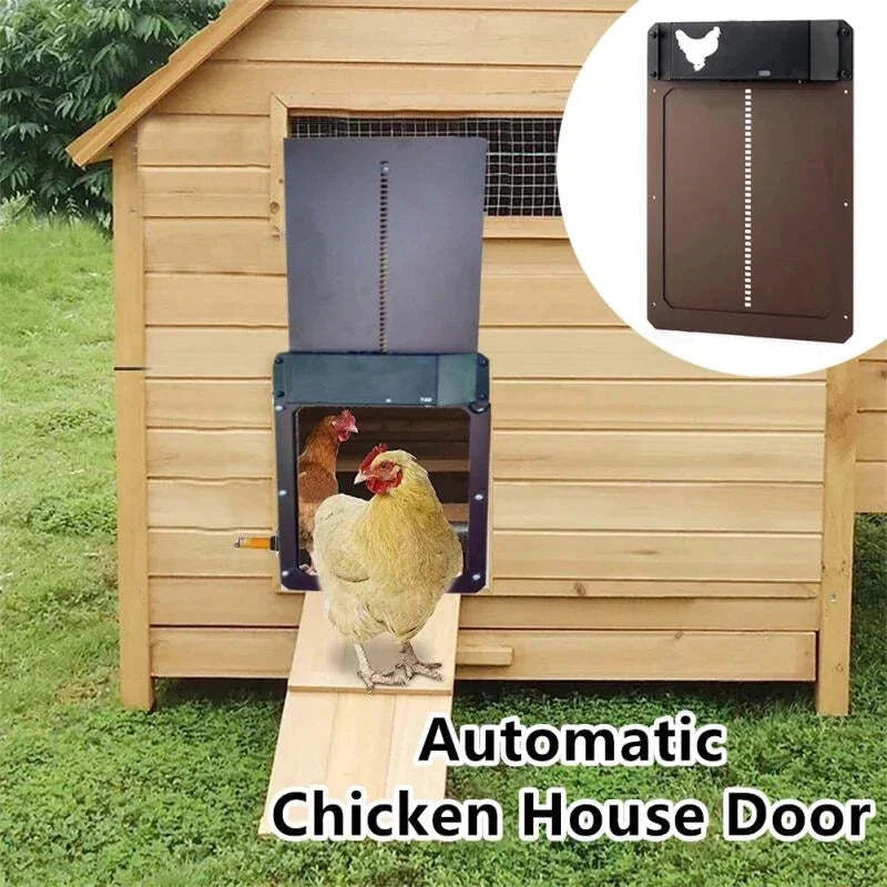 🎉LAST DAY 49% OFF🎉 --Automatic Chicken Coop Door