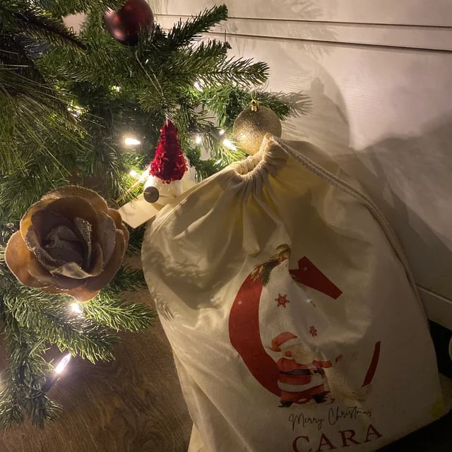 🎅Gorgeous Santa Sack l Christmas Present