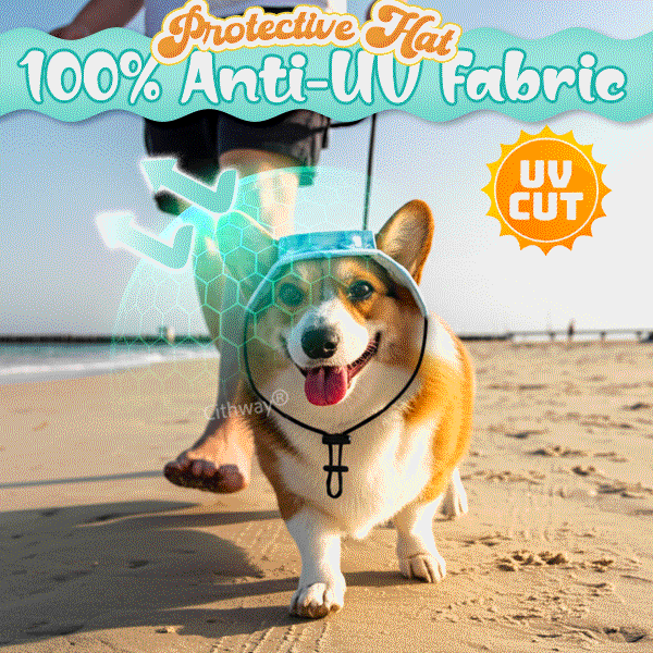 Summer Fashion Pet Visor Sun Hat